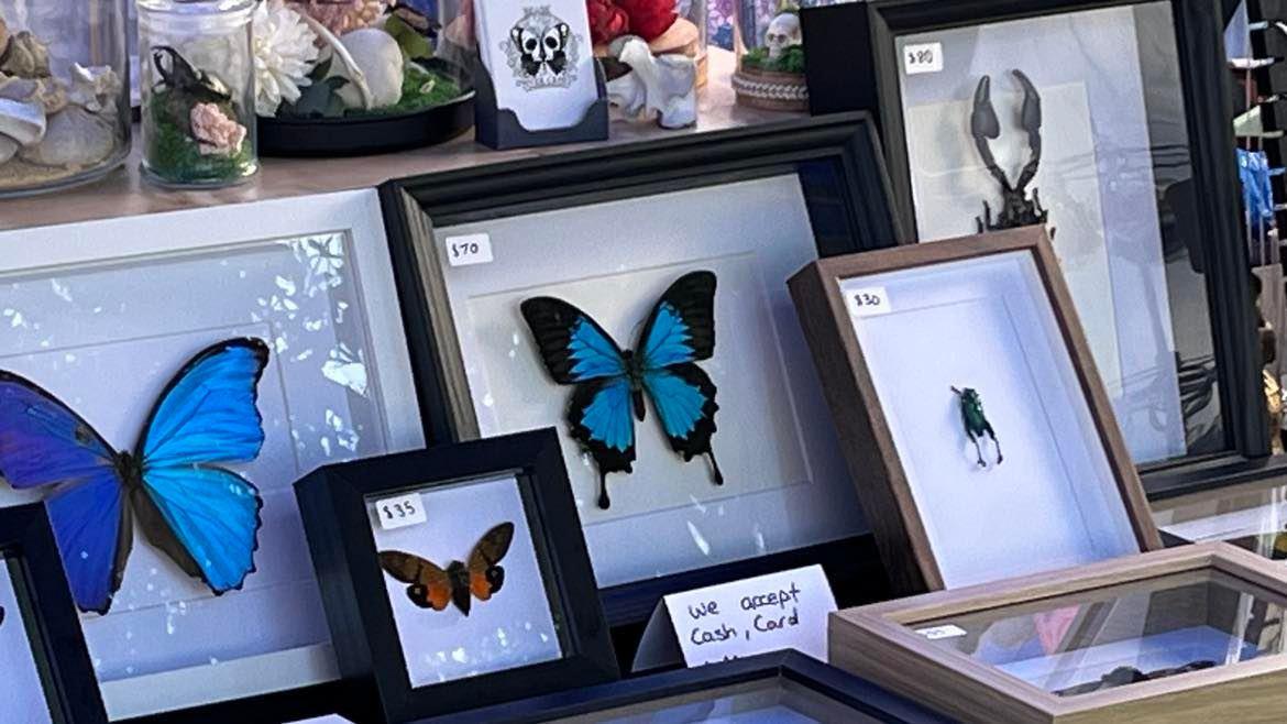 Dwyer Crafts Perth Makers Market